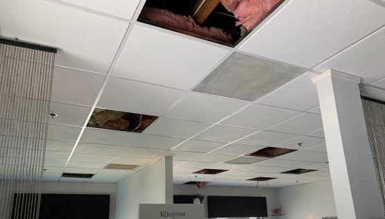Drop Ceiling Installation Boston Ma Tile South S - How Much Does It Cost To Install A Drop Ceiling Tile
